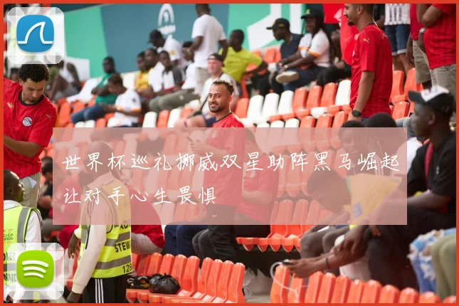 世界杯巡礼挪威双星助阵黑马崛起让对手心生畏惧